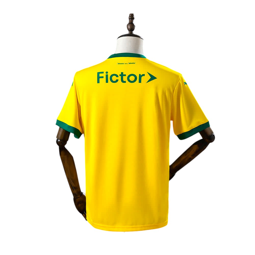 Camisola Palmeiras Third 25/26