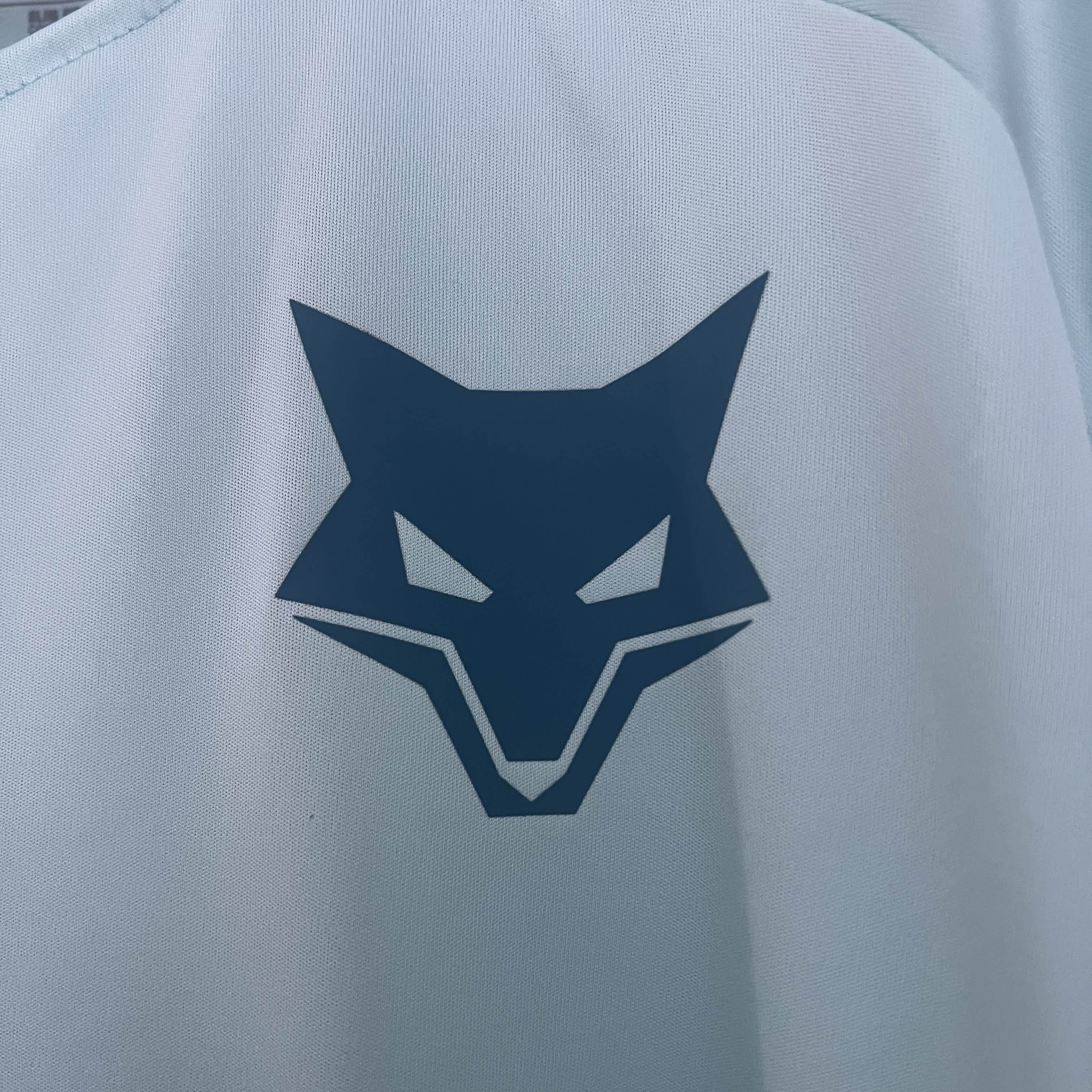 Camisola Cruzeiro Treino Azul Claro 25/26