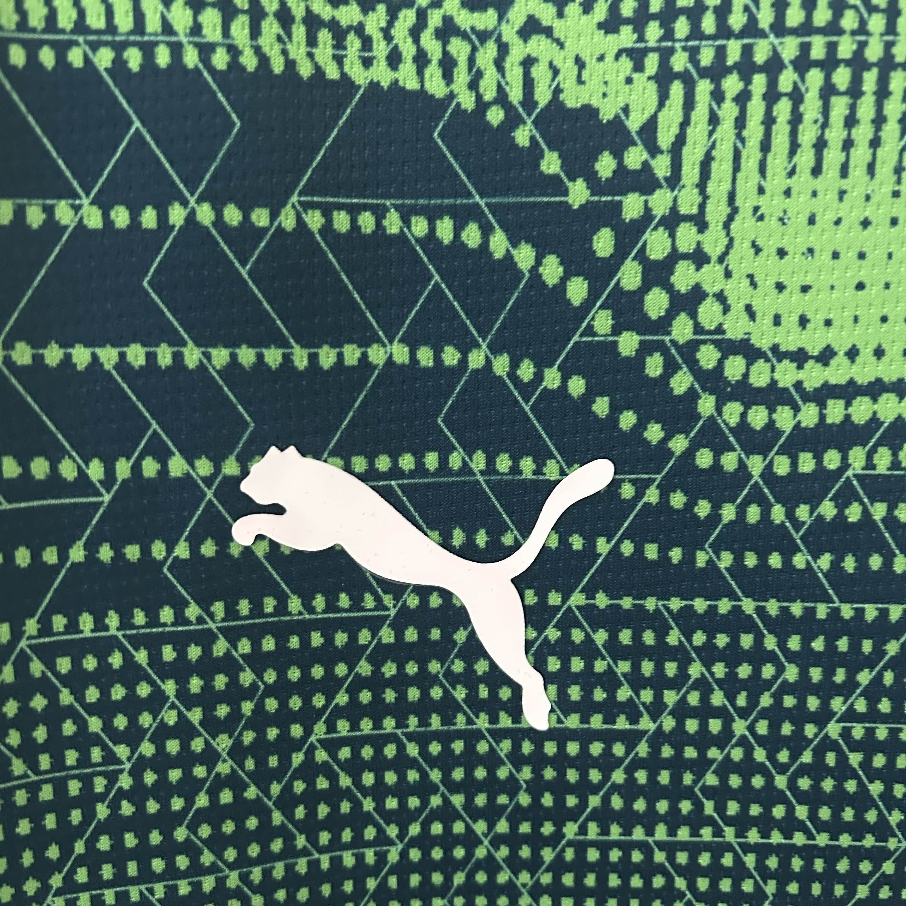 Camisola Seleção Portugal Treino Verde/Azul 2025