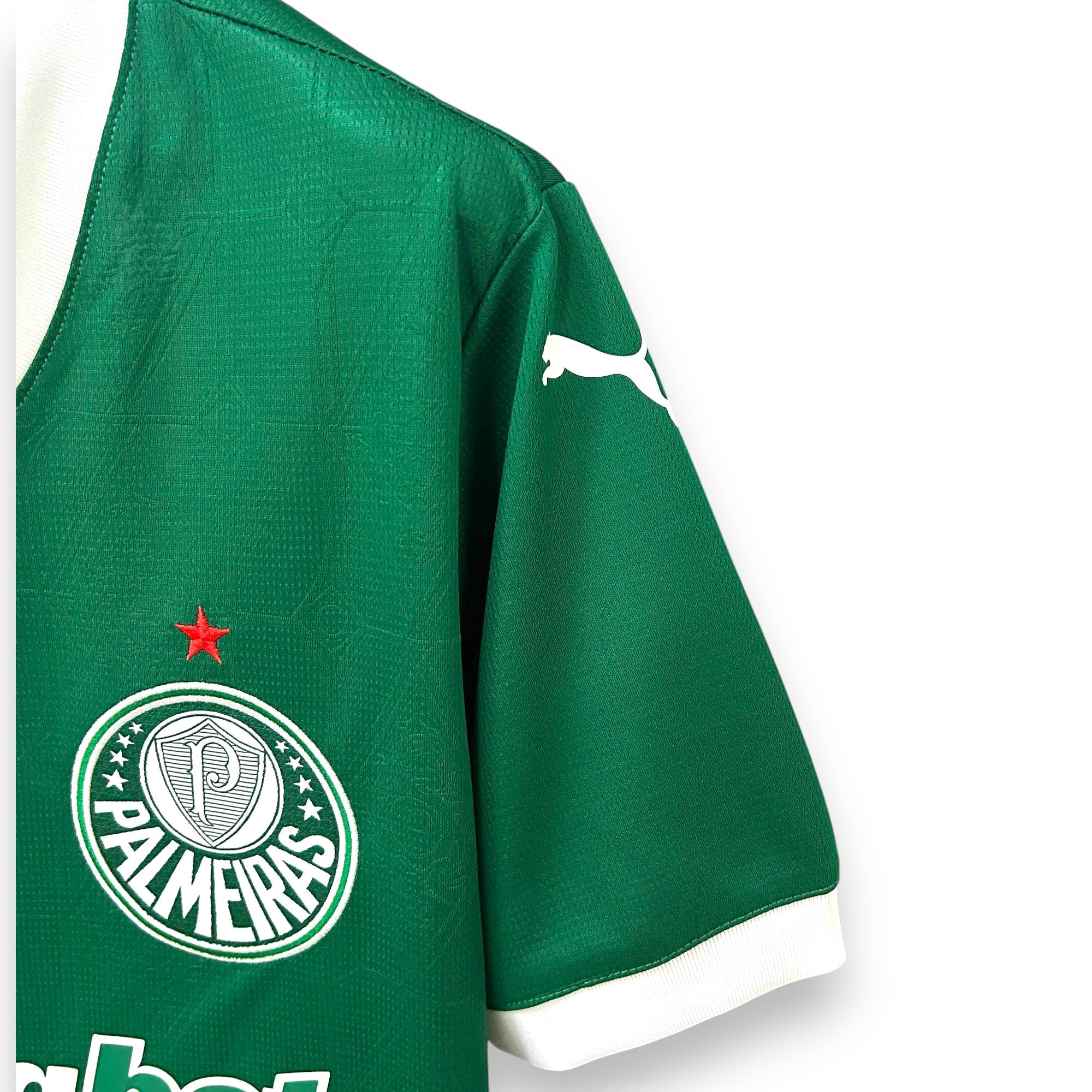 Camisola Palmeiras Principal 25/26